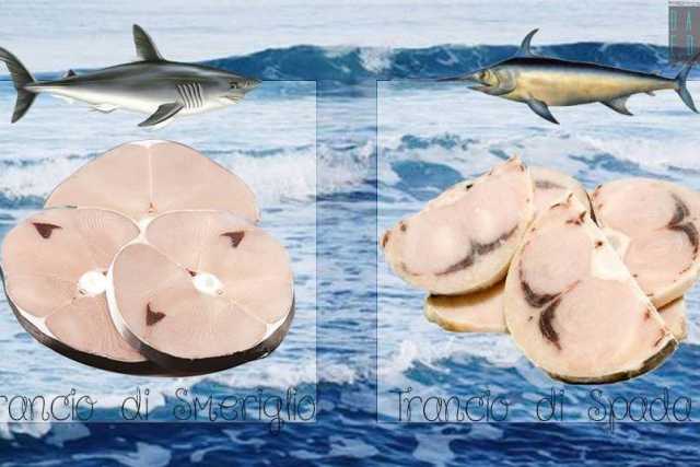 Poco fresco, allevato o diverso: tutti i segreti e le "fregature" del pesce acquistato